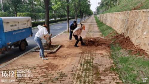 金开集团大气污染防治“百日攻坚”在行动 八项举措深化大气污染治理